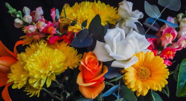 Yellow, orange, white and pink flowers